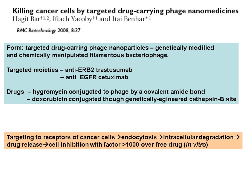 Form: targeted drug-carring phage nanoparticles – genetically modified  and chemically manipulated filamentous bacteriophage.